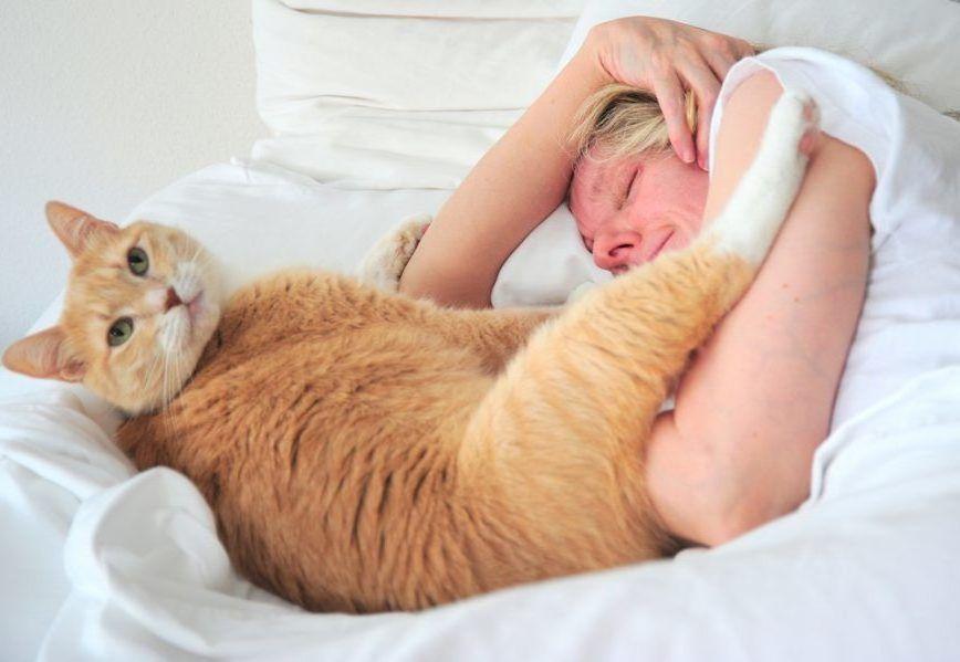 kot w łóżku z człowiekiem