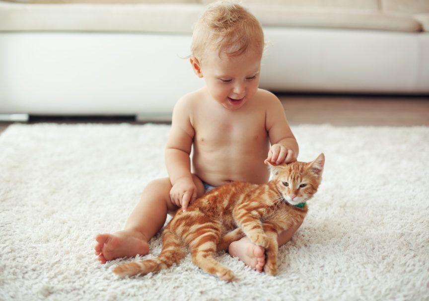 kot leczy dziecko