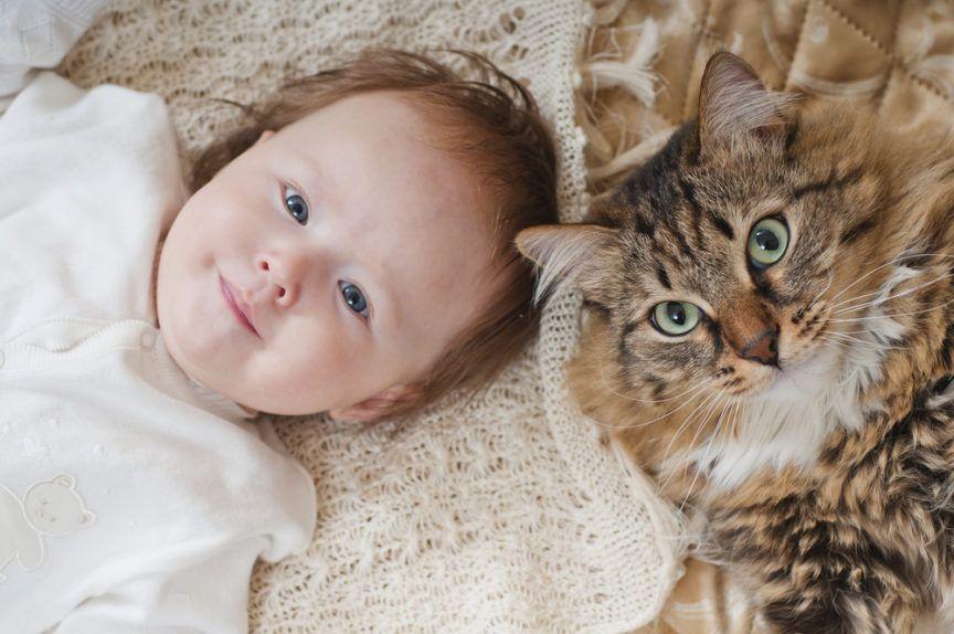 kot i małe dziecko