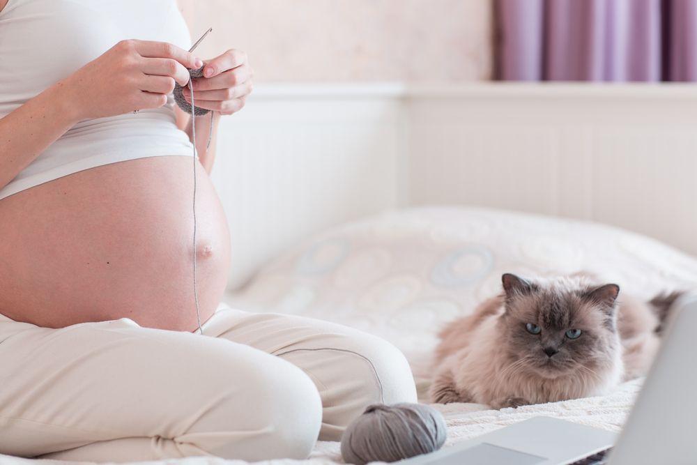 kobieta w ciąży z kotem