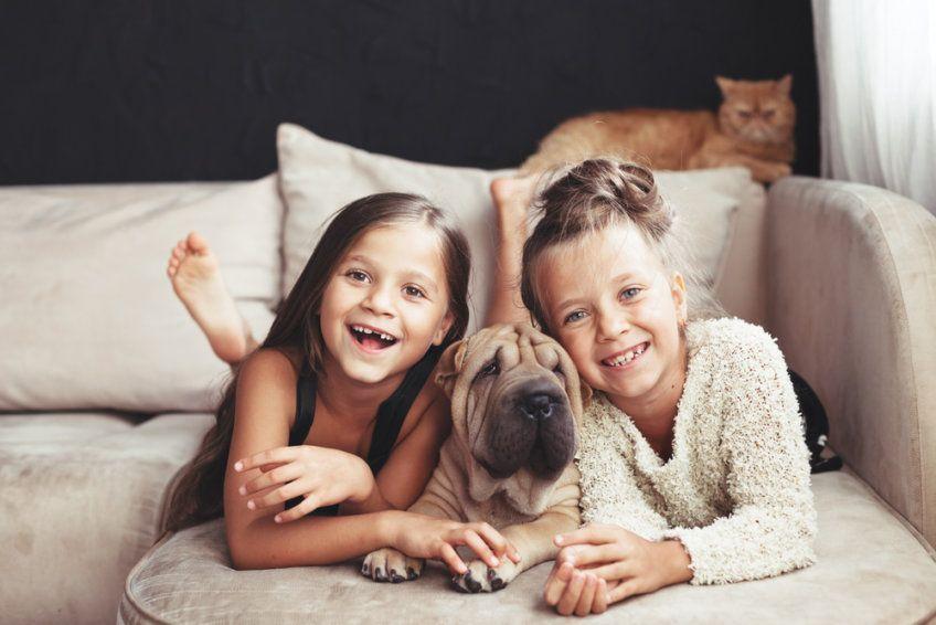 dziewczynki z psem, a kot leży z tyłu
