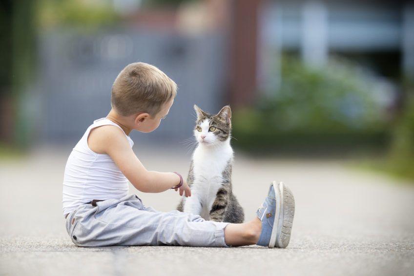 Dziecko rozmawia z kotem na ulicy