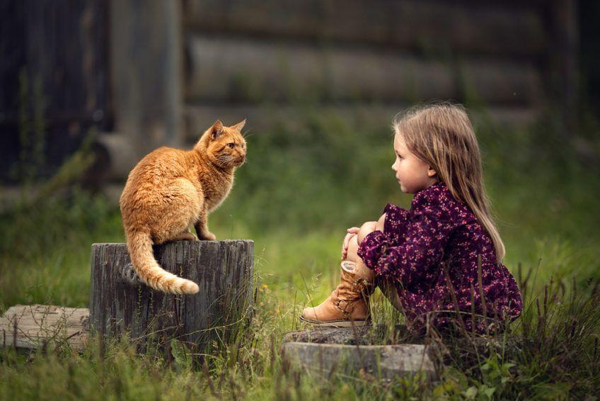 Rudy kot i dziewczynka patrzą na siebie