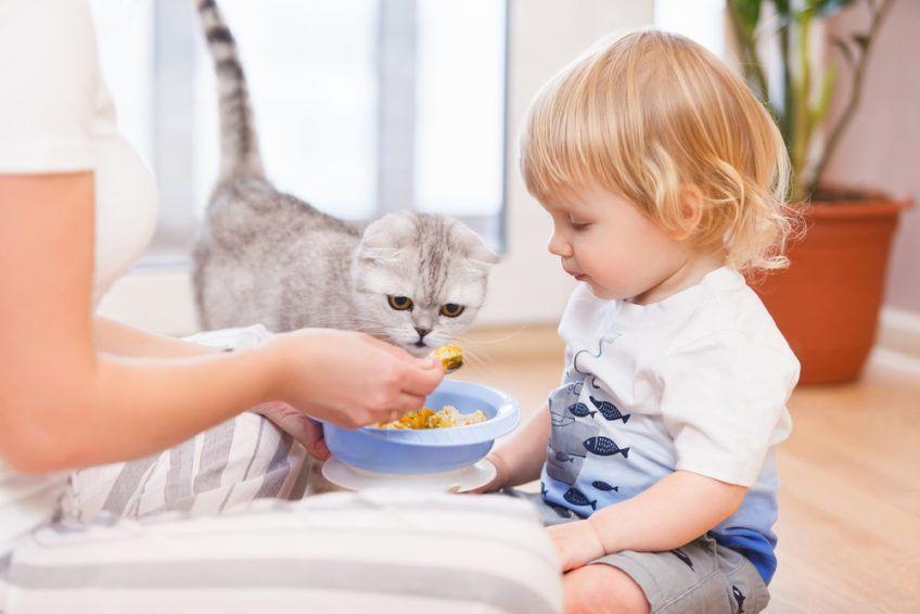 Kobieta z dzieckiem karmią kota