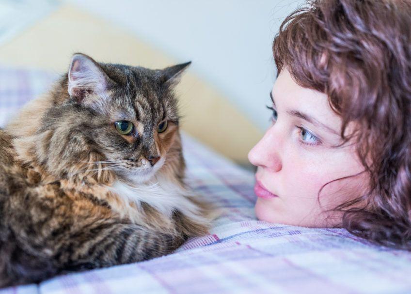 Kobieta patrzy na kota rasy Maine Coon, który leży na łóżku