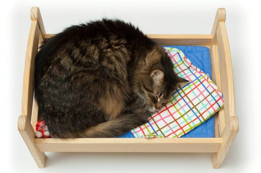 Bury kot leży w drewnianym łóżeczku dla lalek IKEA
