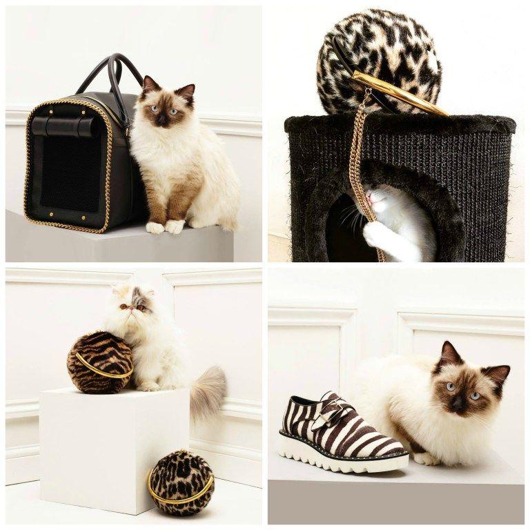 stella-mccartney-cat-accessories.jpg
