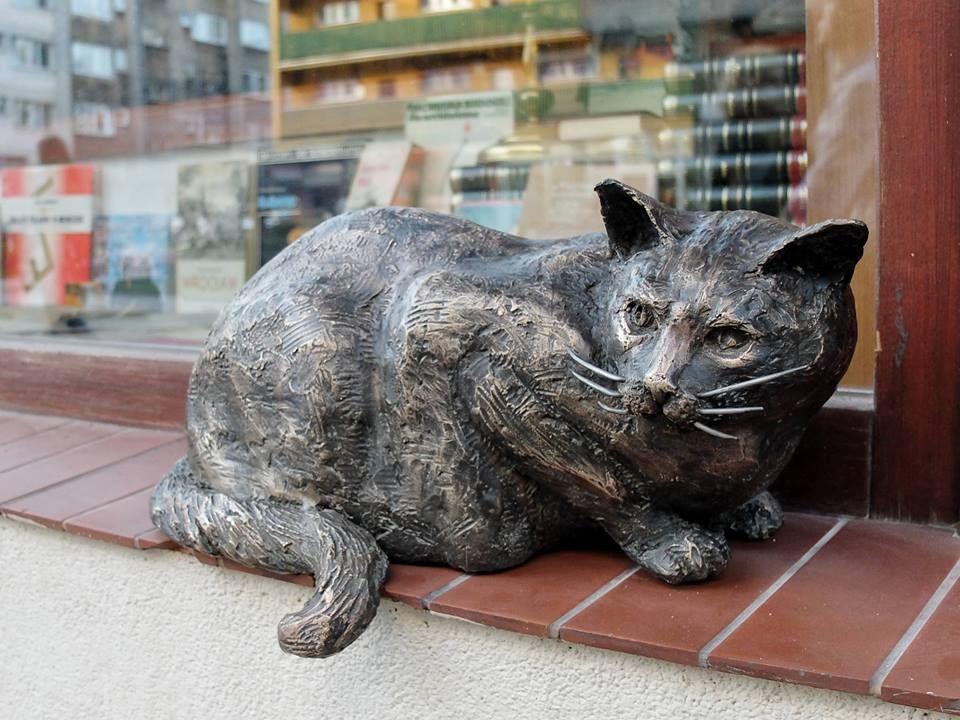 pomnika kota Dantego we Wrocławiu