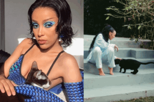 doja cat koty