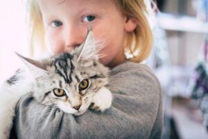 W Ciechanowie powstał Ośrodek Felinoterapii Ośrodek Felinoterapii „Radosny Kot”