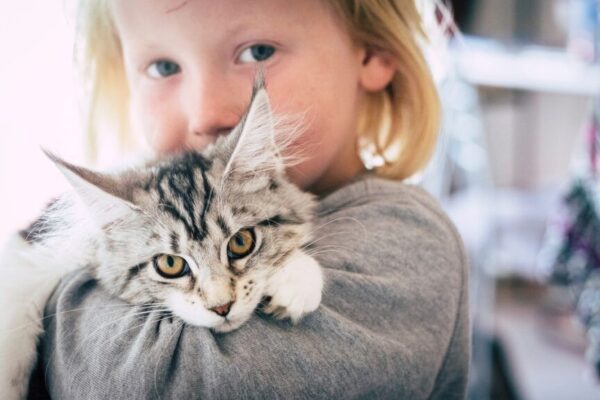 W Ciechanowie powstał Ośrodek Felinoterapii Ośrodek Felinoterapii „Radosny Kot”