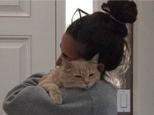 lily cat/ kot pod zderzakiem