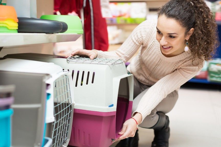błędy w sklepie zoologicznyn