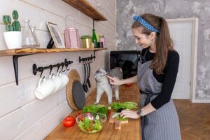 Szczaw dla kota jest trujący. Nie podawaj mu go.