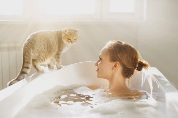 czy kot wie gdy jesteś nagi