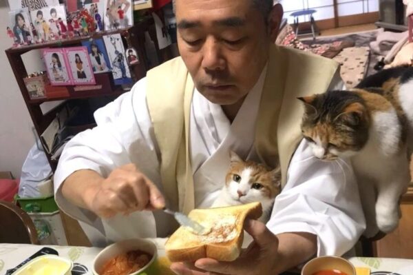 koty z Chorakuji