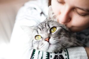 zalety posiadania kota