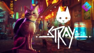 stray gra