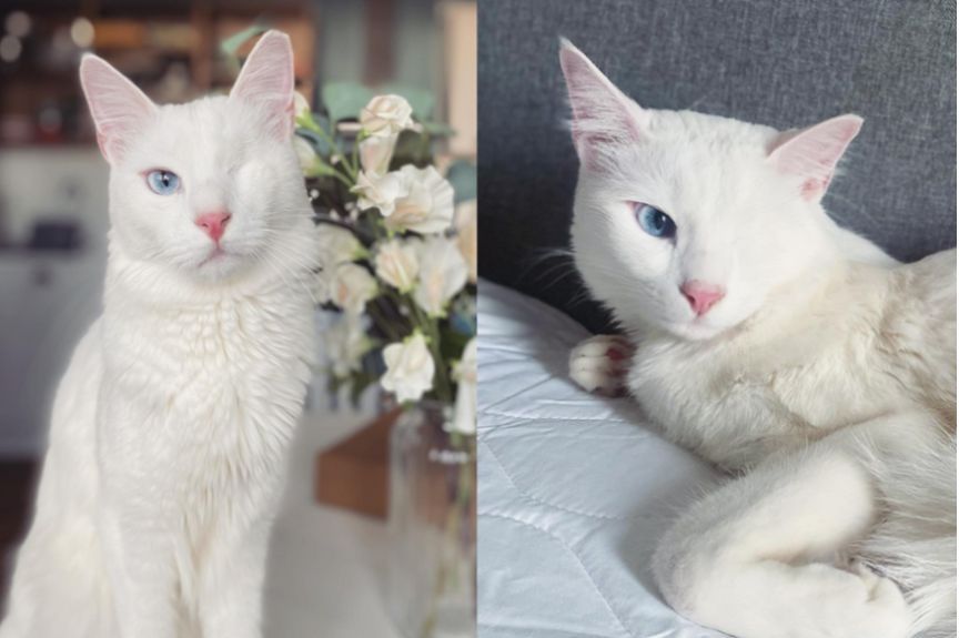 fot. Instagram / @oneeyedtheo