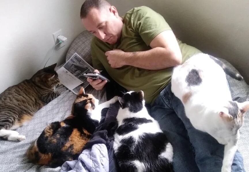 ukryta miłość do kotów