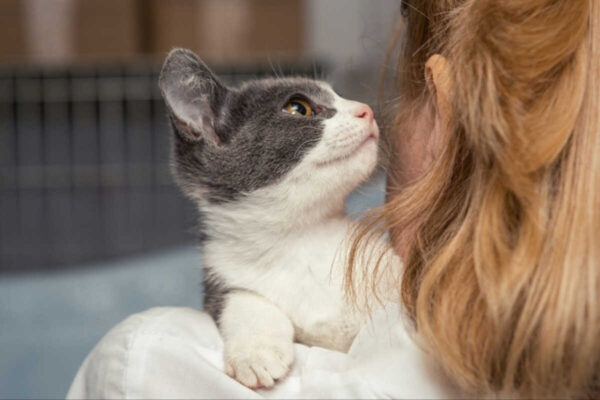 Weekend Adopcji