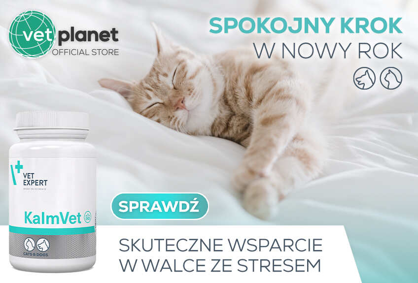 kot kalmvet vetexpert