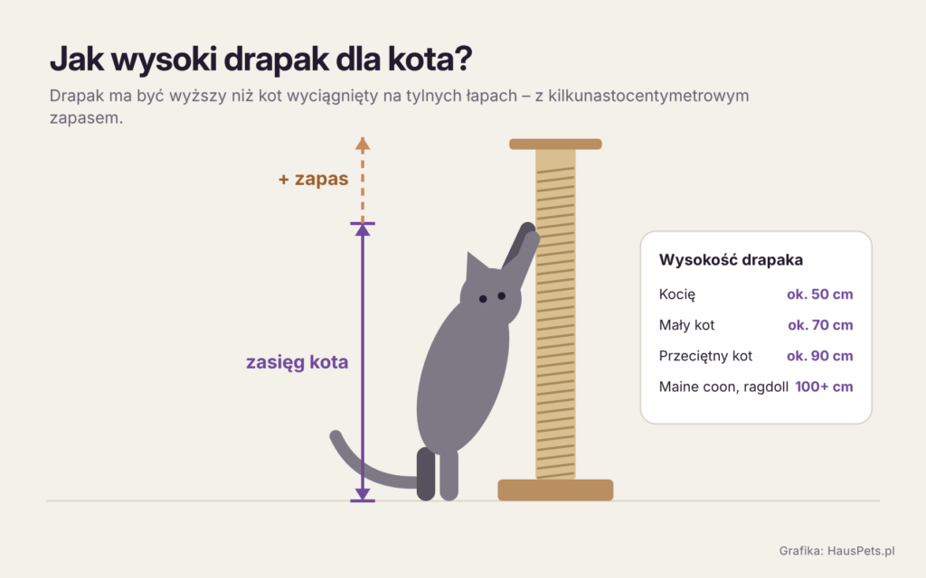 hauspets drapak