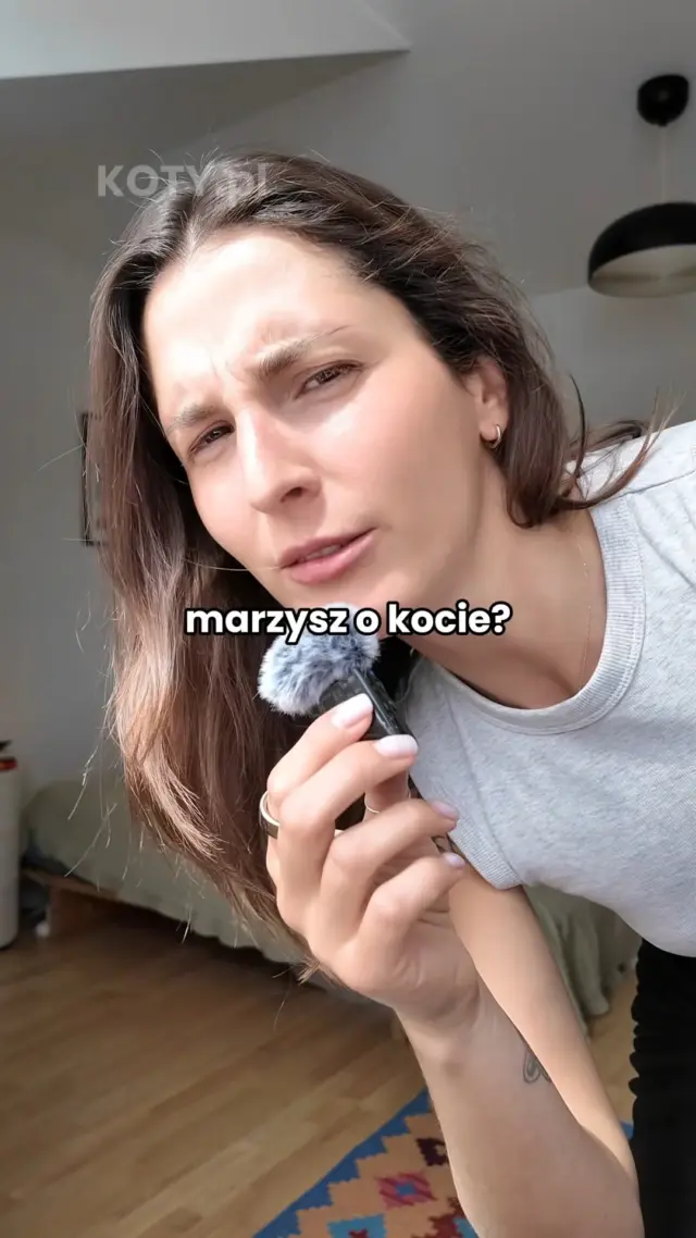 Marzysz o kocie? Możemy pomóc! 😎A po więcej kitków do adopcji wpadajcie na sekcję Adopciaków na koty.pl 🐱