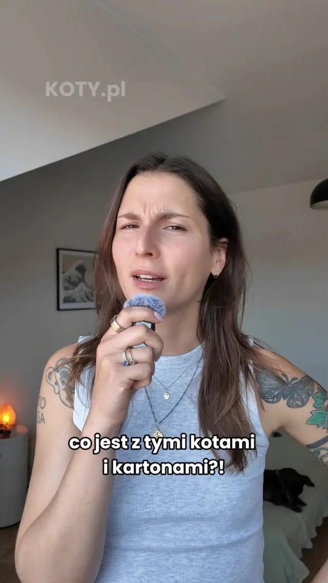 O CO CHODZI Z TYMI KARTONAMI???