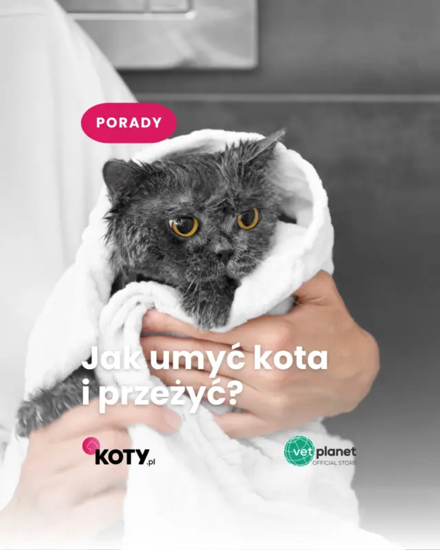 Wybierz idealny szampon dla swojego kota na @vetplanet.store 🐱✌🏻🧼