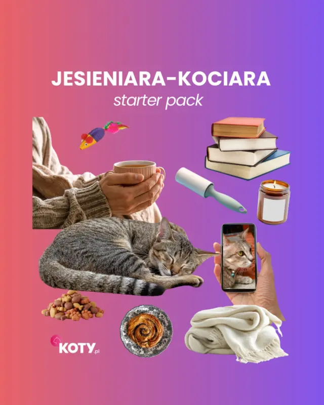 Tak, Drodzy… dziś pierwszy dzień kalendarzowej jesieni 😌 oficjalnie możemy włączyć tryb 🍂JESIENIARA🍂. A w naszym przypadku oczywiście jesieniara-kociara.
Co dorzucilibyście do naszego starter packa? 👇🏻🐱